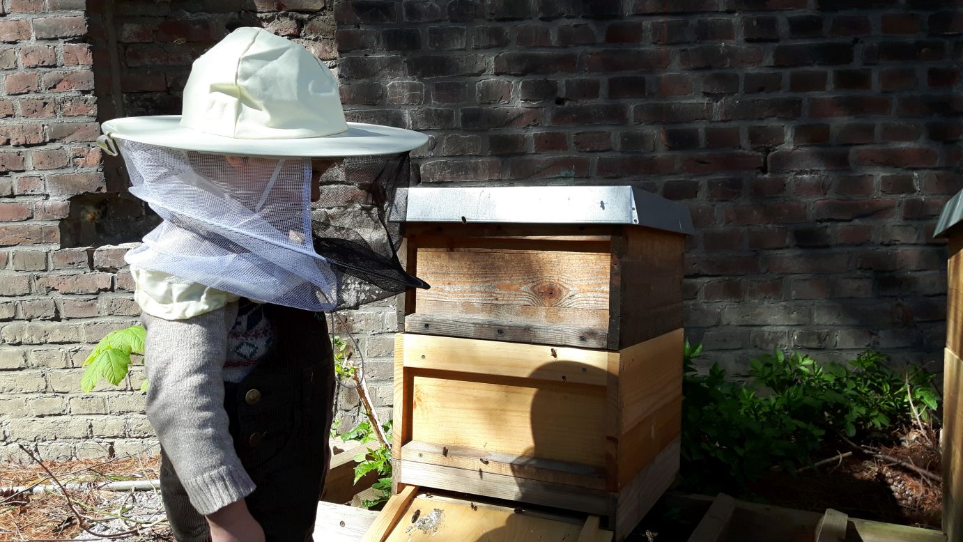 Bienenzucht Schleier Imkereibedarf Bienenschutz Imker Hut Helm Kopfschutz 